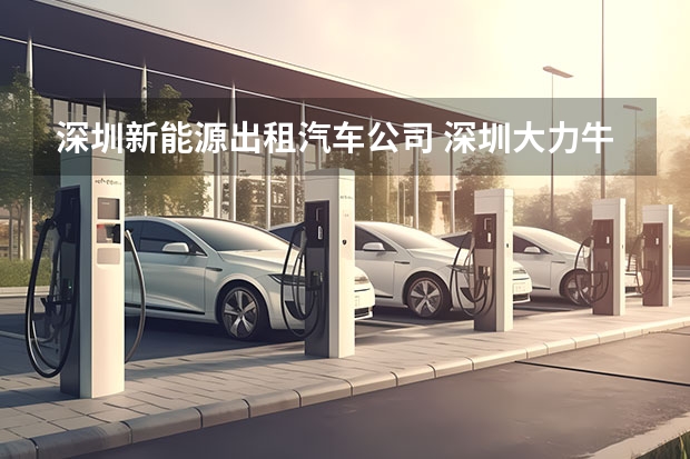 深圳新能源出租汽车公司 深圳大力牛新能源汽车租赁有限公司怎么样？